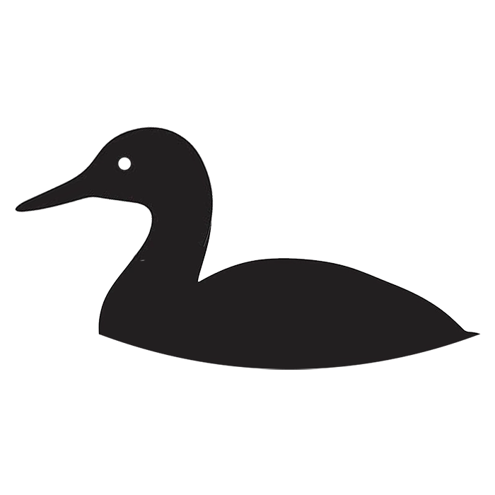 loading image